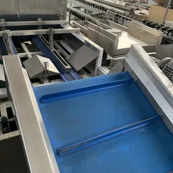 Sichtmaschine Olivensortierer und optische Sortiermaschine