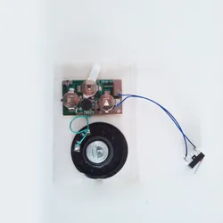 Personalizados populares 20s Placa de Som Module