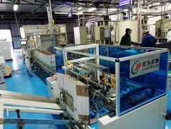 Linha de Embalagem de Cartonagem Automática de Caixa de Detergente Descartável