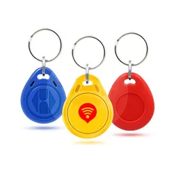Aangepaste Logo ABS RFID Sleutelhanger 125kHz Sleutelfob voor Toegangscontrole