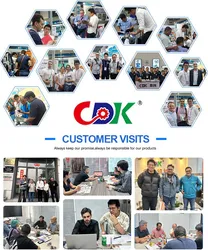 Mehrkamera-Visuelleinspektionsmaschine zur Messung der Nussgröße, Oberflächenfehler und Ok-Ng-Ablehnung