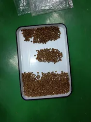 เครื่องคัดเลือกสีเมล็ดกาแฟโรบัสต้า