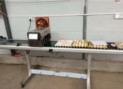Máquina de Impressão de Ovos Automática a Jato de Tinta a Preço de Fábrica
