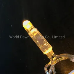 Luz de cordão de bulbo de arroz decorativa à prova d'água