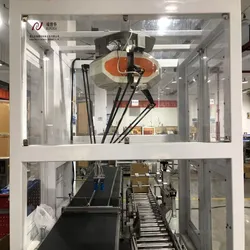 Parallelroboter Fallpacker automatischer Pick- und Pack-Roboterarm Palettiermanipulator mit Sichtsystem