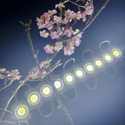 Módulo de LED COB redondo de alta potência, alta luminosidade e alta intensidade para sinais e letras 9chips