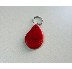 Benutzerdefinierter Proximitäts-RFID-PVC-Schlüsselanhänger 125kHz zur Identifikation
