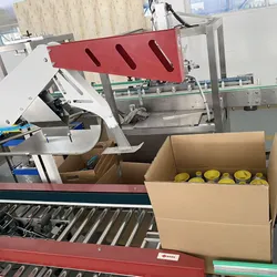 Máquina de Embalagem em Caixa, Linha de Embalagem em Cartão