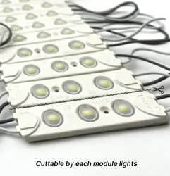 IP65 Modul für Briefbeschilderung SMD5730 3-LEDs AC110V LED-Modul