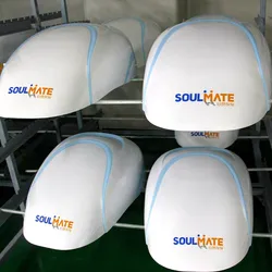 Plástico 3D Sinal Formado Personalizado Acrílico Moldagem a Vácuo Casco