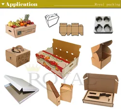 Kartonbox-Stanzmaschine Rype-SA