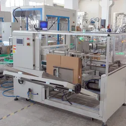Hệ thống đóng gói tự động hoàn toàn (Máy Doypack + Robot đóng gói carton song song + Hệ thống xếp pallet)