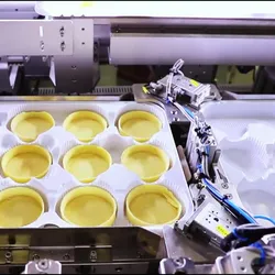 Kartonaufstellmaschine integriertes System
