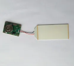 Módulos de Flash LED Exibição Pisca Pisca LED Flashing