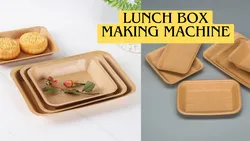 Kraftpapier-Lunchbox-Reisverpackungsmaschine Chj-a
