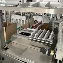 Máquina de Embalagem em Caixa, Linha de Embalagem em Cartão