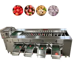 Tomatensortiermaschine Gemüsegrader Größenklassifizierungsmaschine
