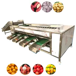 Tomatensortiermaschine Gemüsegrader Größenklassifizierungsmaschine