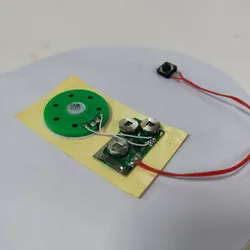 Módulo de Voz com Botão - Chip de Som Gravável para Projetos de Artesanato DIY