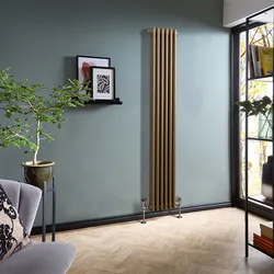 Immobilienentwicklungsprojekt Mildstahl vertikaler Säulenheizkörper