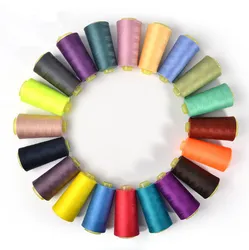 Conjunto de Fios de Costura Coloridos