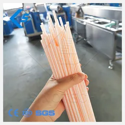 Hoge Snelheid Automatische Twee Dubbele Drie Kleur Drinkriet Extrusie Productielijn met Verpakkingsmachine