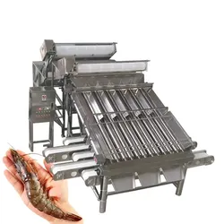 เครื่องคัดเกรดกุ้งอัตโนมัติความเร็วสูงสำหรับการคัดแยกที่มีประสิทธิภาพ