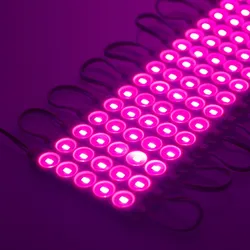 Moldagem por Injeção à Prova d'Água 1.2W 12V Módulo LED DC 5 LED SMD5630 Luzes Decorativas para Carros Módulo de LED Sinalização Caixa de Luz