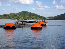 Davit đã ra mắt quy định Solas về bè phao tự cân bằng