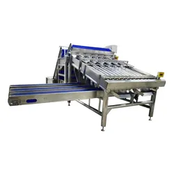 Automatische Garnelen- und Krustentier-Sortier- und Klassifizierungsmaschine
