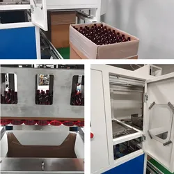 Máquina Empacotadora de Caixas Totalmente Automática