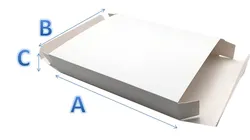 Máquina Automática de Cartonagem Multifuncional