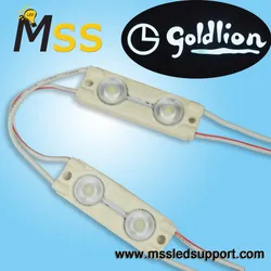 LED-Modul wasserdicht DC12V 0.48W 2 LED-Licht SMD 2835 Mini-LED-Injektionsmodule für Beschilderungsbeleuchtung