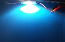 DC12V Injeção SMD 3030 Módulo LED 1.5W Retroiluminação Fox Caixa de Luz
