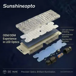 Benutzerdefinierte OEM 144-LED Hochleistungs-Straßenlichtmodul 8s18p Optisches LED-Modul