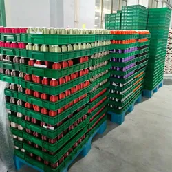 Mehrfarbiger umweltfreundlicher Stickmaschinenfaden mit Federkern 5000m
