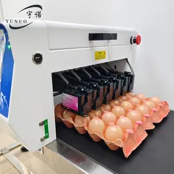 Kontinuierlicher Eierdatumsdrucker, automatischer Tintenstrahldrucker für Eier, Online-Tintenstrahldrucker für Eier, Hochgeschwindigkeitsmaschine zur Codierung des Ablaufdatums von Eiern