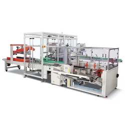 Vollautomatische Wellpappkartonaufstellmaschine für das Auspacken, Verpacken und Versiegeln von Kartons