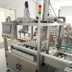 Kartonverpackungsproduktionslinie und Verpackungsmaschine