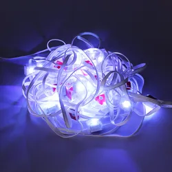 Weihnachts permanente RGB LED Pixel Steuerung LED Punktlicht Dachrinnen Lichterkette LED