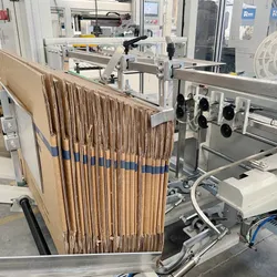 Automatische Kastenaufsteller- und Verpackungsmaschine Roboterarm Palettiermaschine