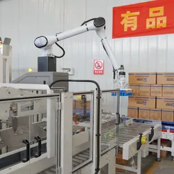 Automatische Kastenaufsteller- und Verpackungsmaschine Roboterarm Palettiermaschine