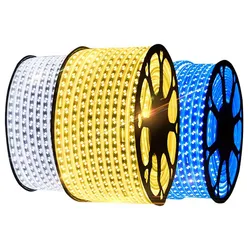 Hochspannungsfernbedienung APP Steuerung Farb RGB Streifen LED Seillicht