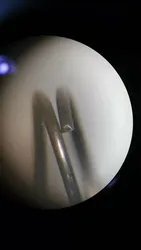 좌회전 절단 이중 훅 스프링 CNC 스프링 코일링 기계