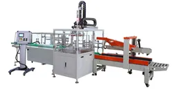 Vollautomatische intelligente Kartonverpackungsmaschine