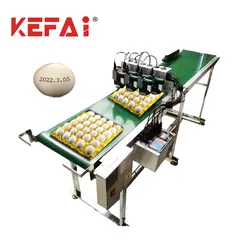 Kefai 잉크젯 코드 계란 인쇄기 날짜 코딩 기계