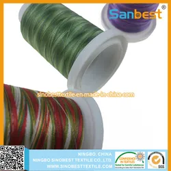 Raumgefärbter/Variierter Rayon-Stickgarn