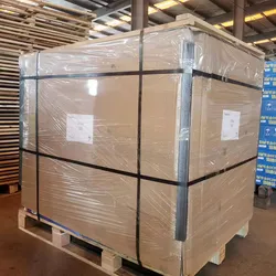 Herkömmlicher Gusseisen-Heizkörper 500mm Höhe
