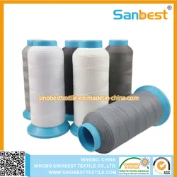 Bunte matte Polyester-Stickgarne für Maschinenstickerei