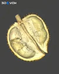 Fortgeschrittener 3D Objektscanner mit hochpräzisen Digitalisierungsfähigkeiten